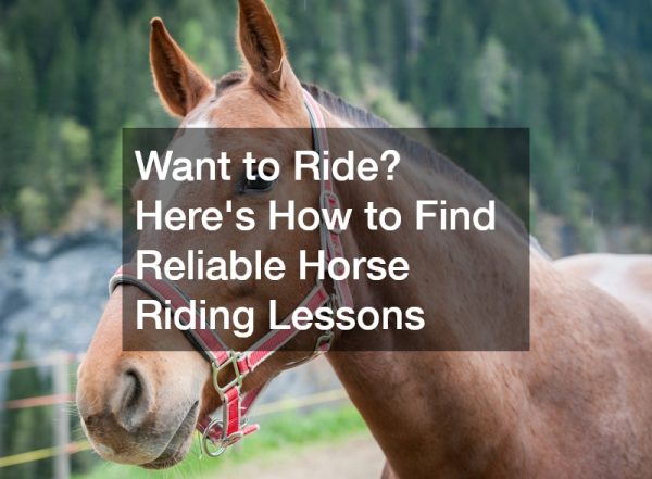 Want to Ride? Heres How to Find Reliable Horse Riding Lessons